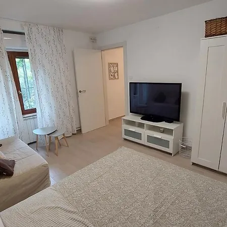 Apartma Rizana *