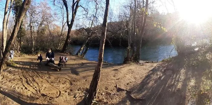 Apartma Rizana Dekani